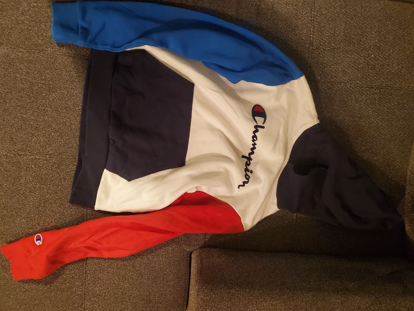 Champion Colourblock Hoodie