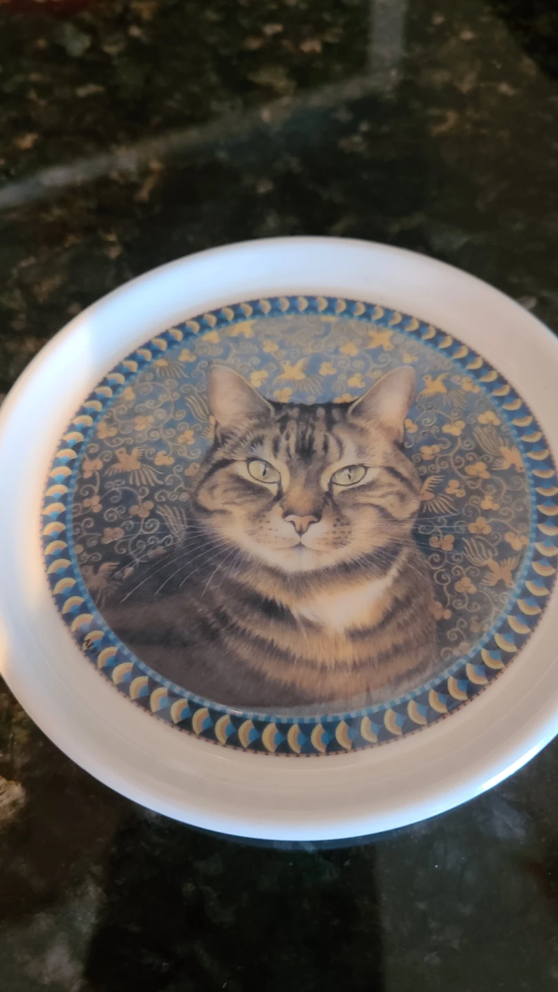 Cloverleaf Tabby Cat Coaster/trinket dish - photo 3