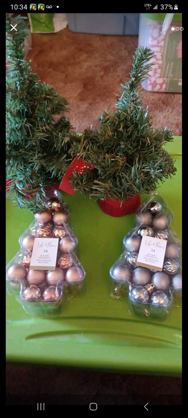 Life at Home Holiday Ornaments 2 Packs