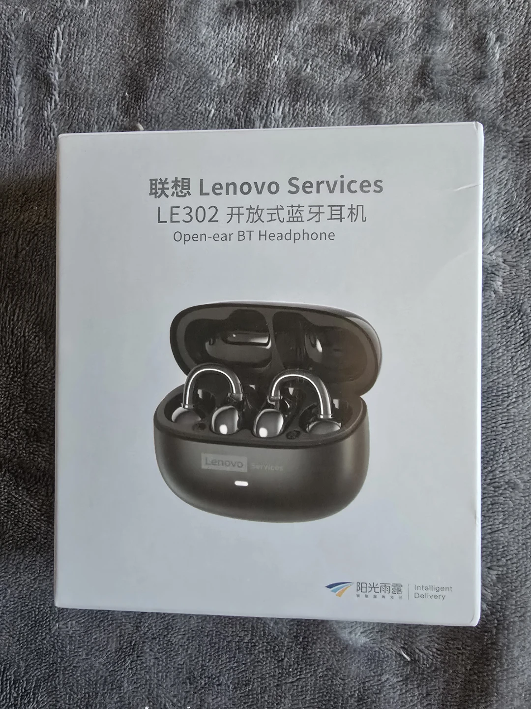 Lenovo Services LE302 Open-Ear BT Headphones
