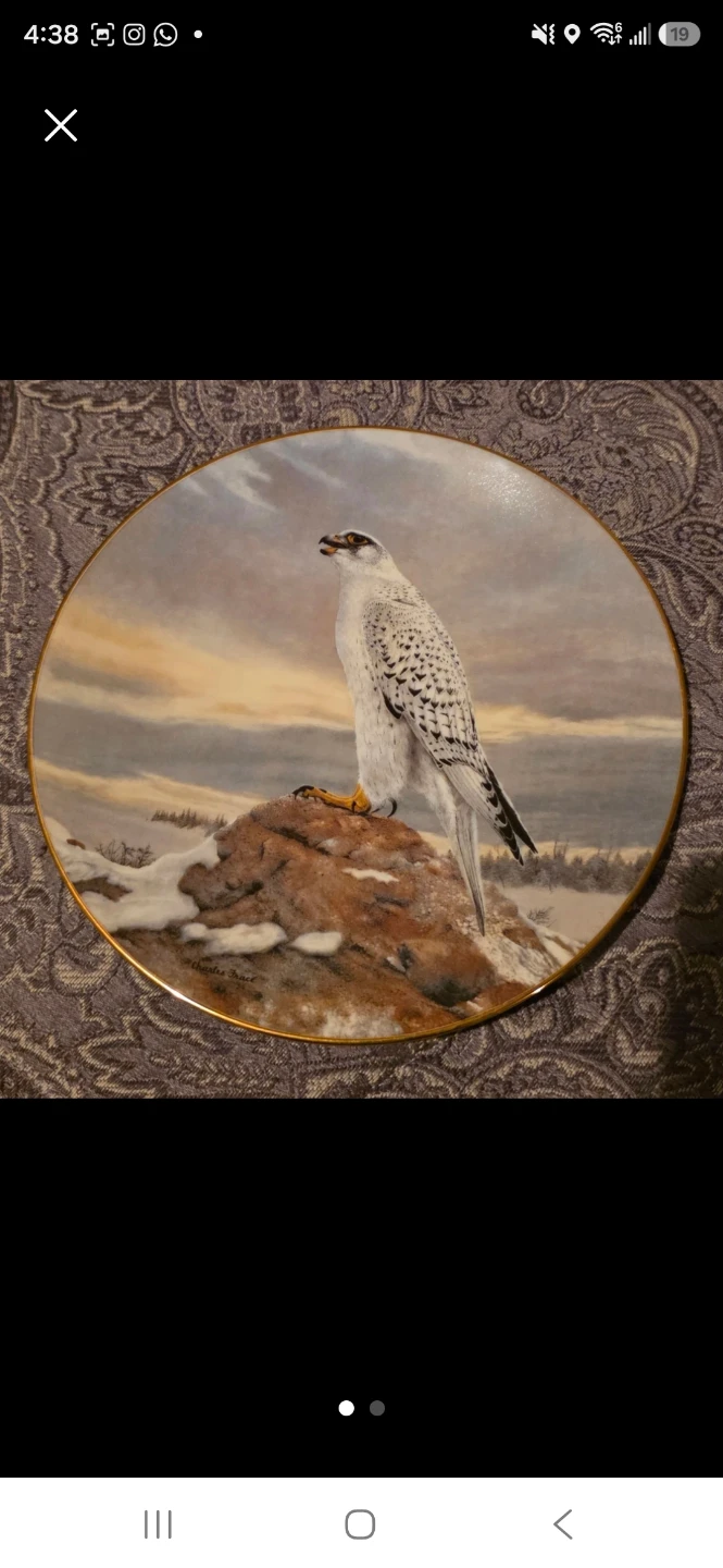 Collector's Edition Decorative Plate with Bird Art - photo 5