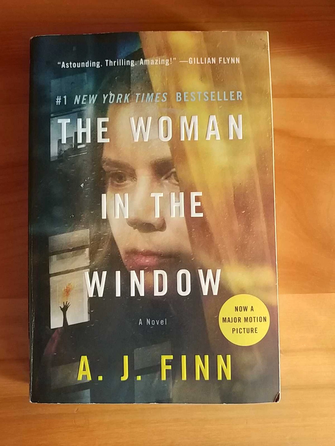 The Woman in the Window