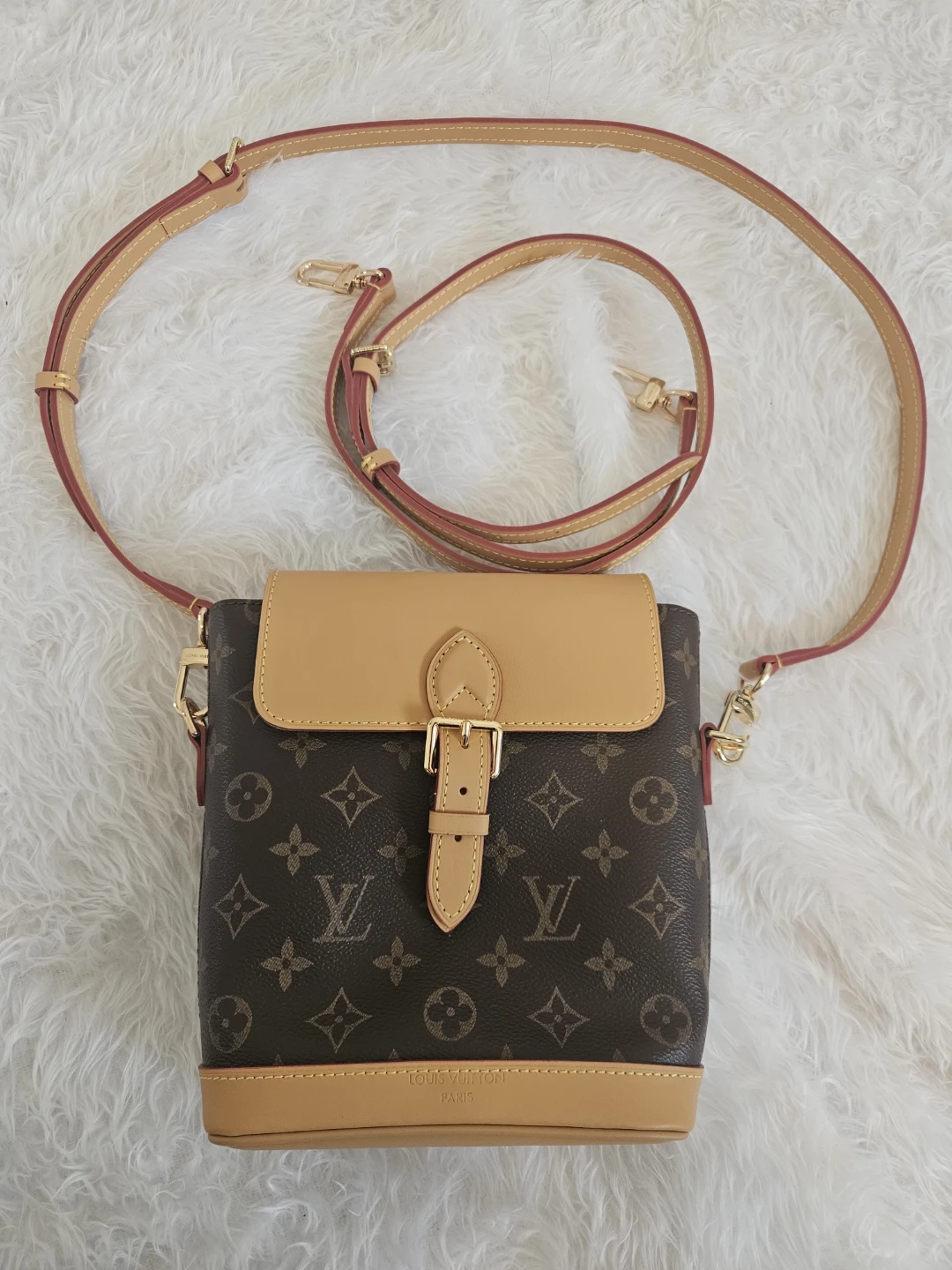 Louis Vuitton Monogram Canvas Bag - photo 5