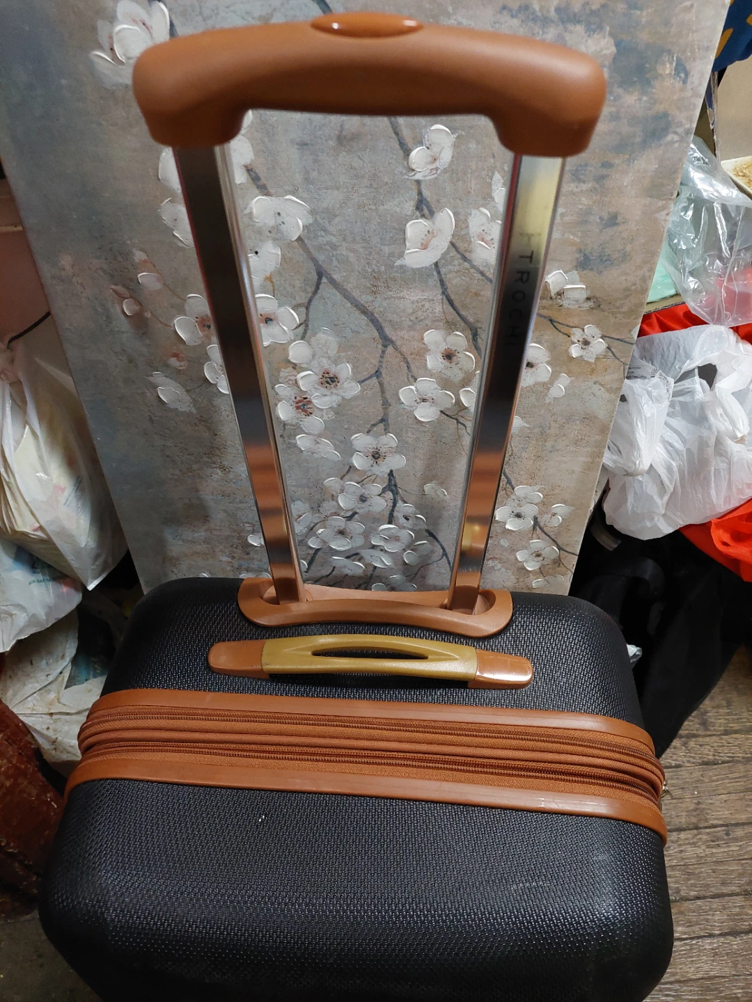 Trochi Hardshell Luggage