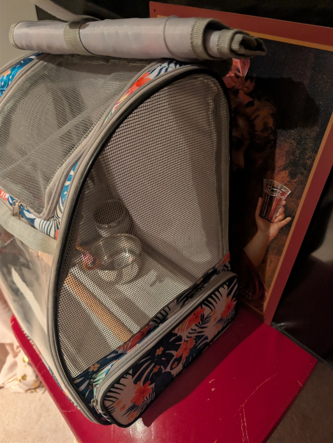 Bird Carrier Backpack - photo 2