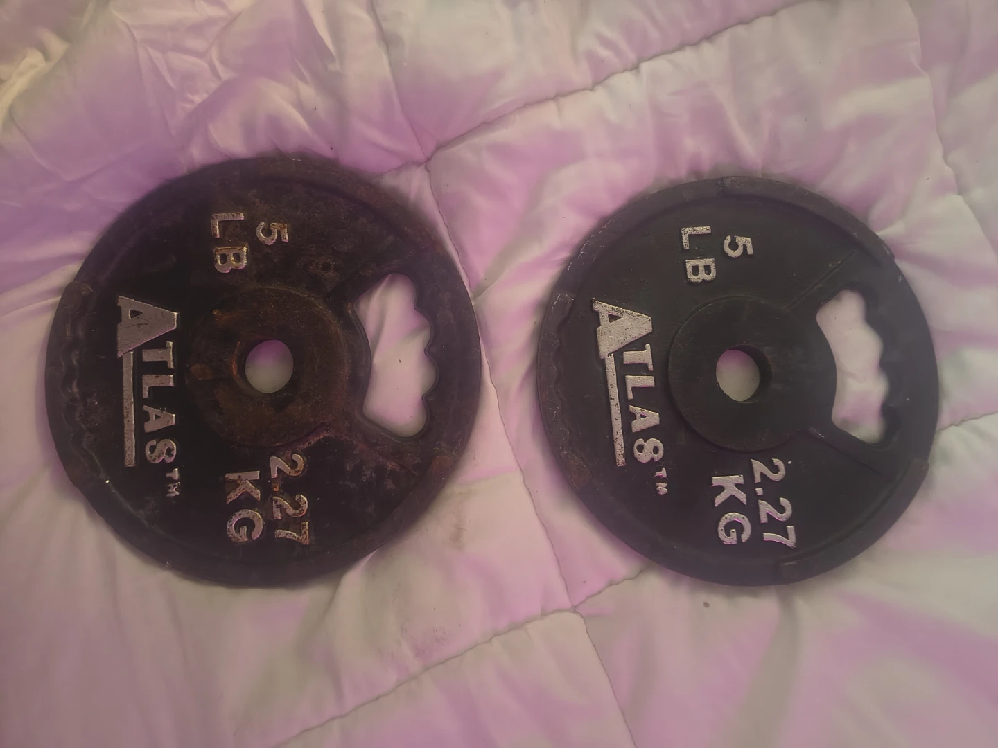 2 Atlas 5 lb Weight Plates - photo 2