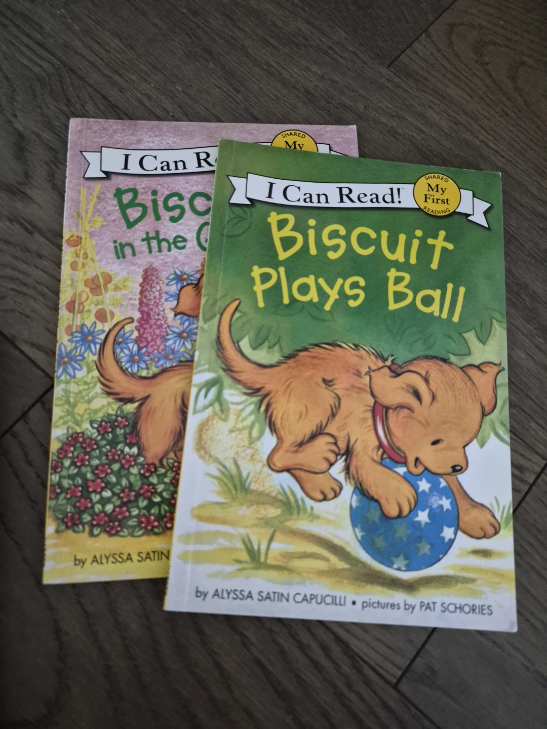 Assorted Children's Books Bundle