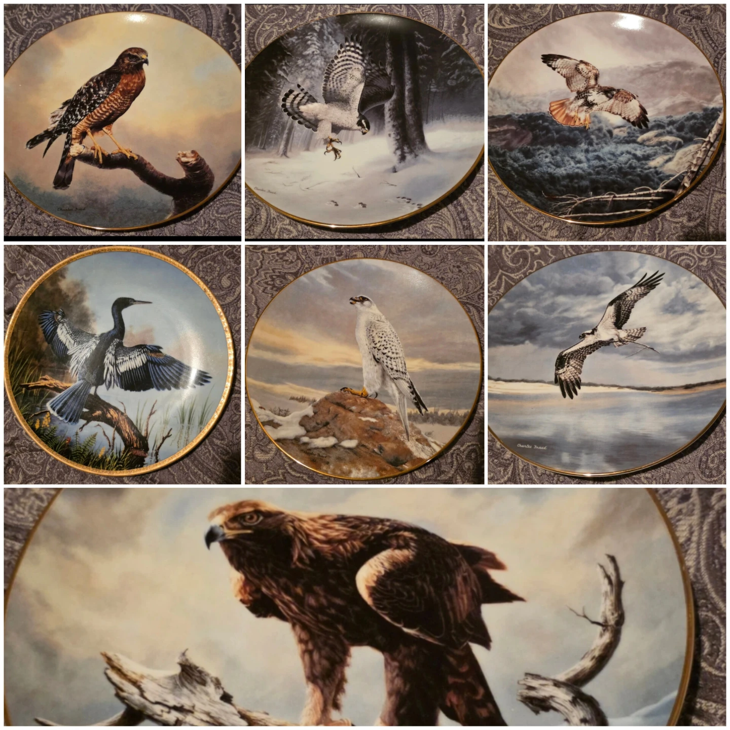 Collector's Edition Decorative Plate with Bird Art