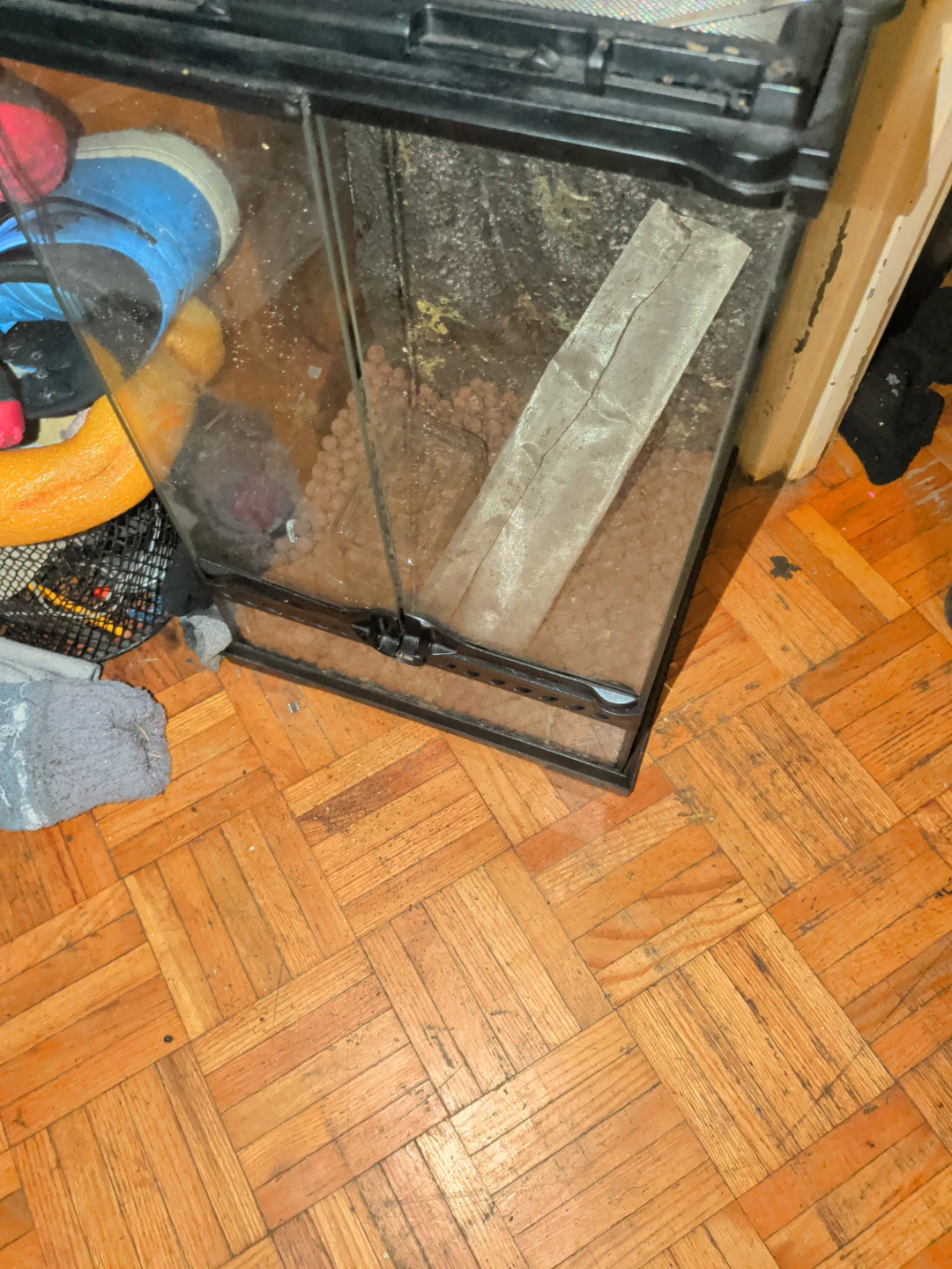 Exo Terra Glass Terrarium