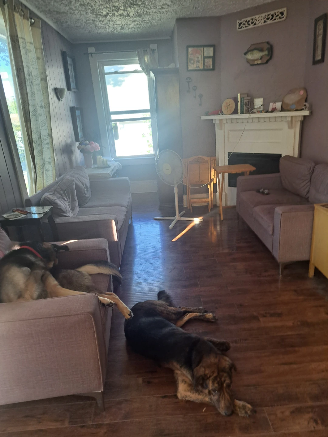1 Room for rent in 2 bedroom apartment - photo 2