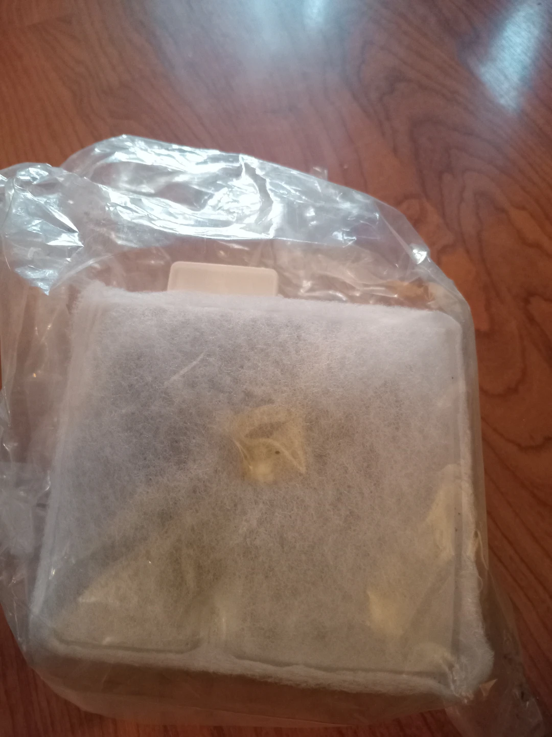 10 gallon fish tank with supplies - photo 5