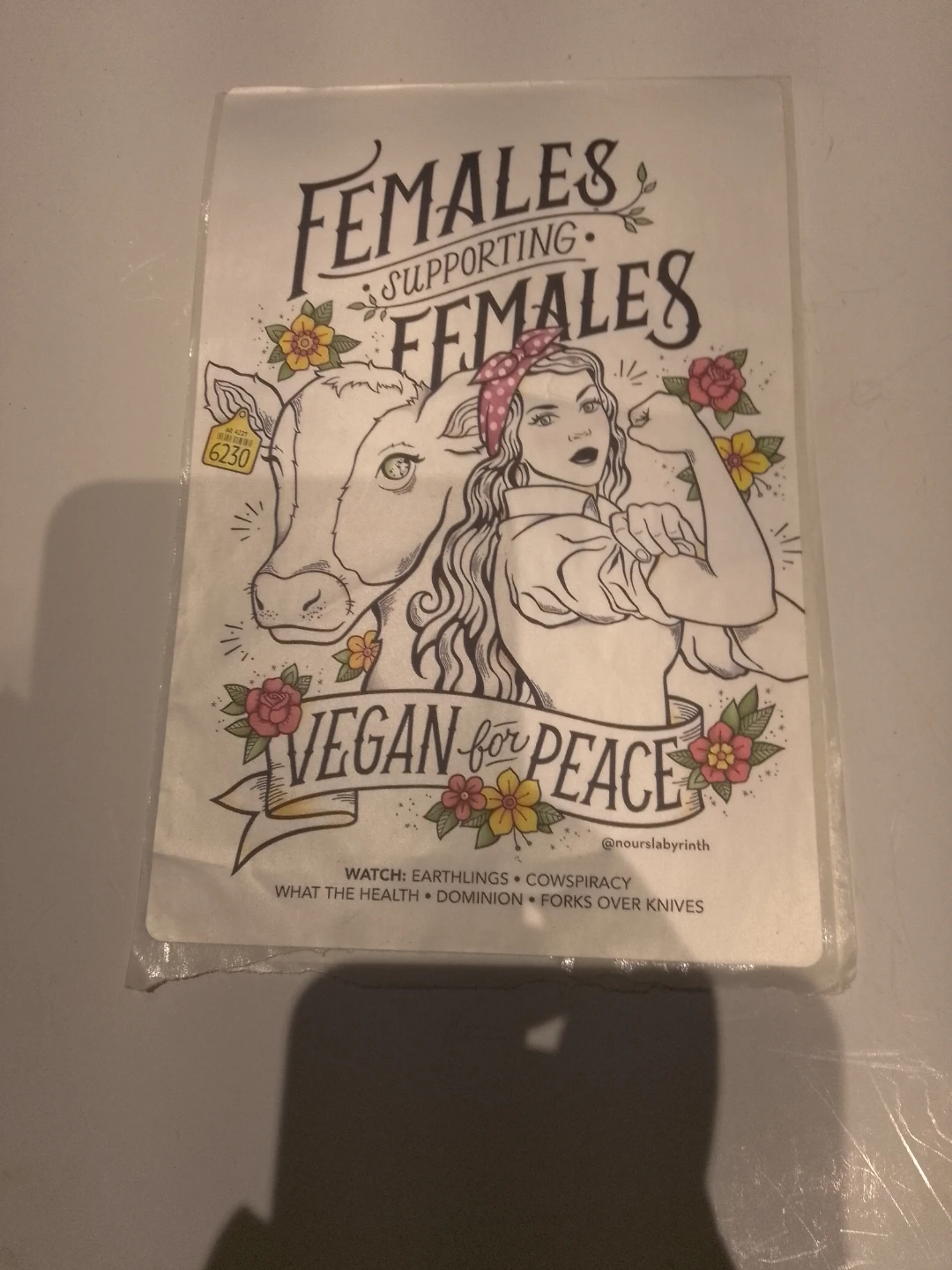 Females Supporting Females Vegan Sticker 🏈