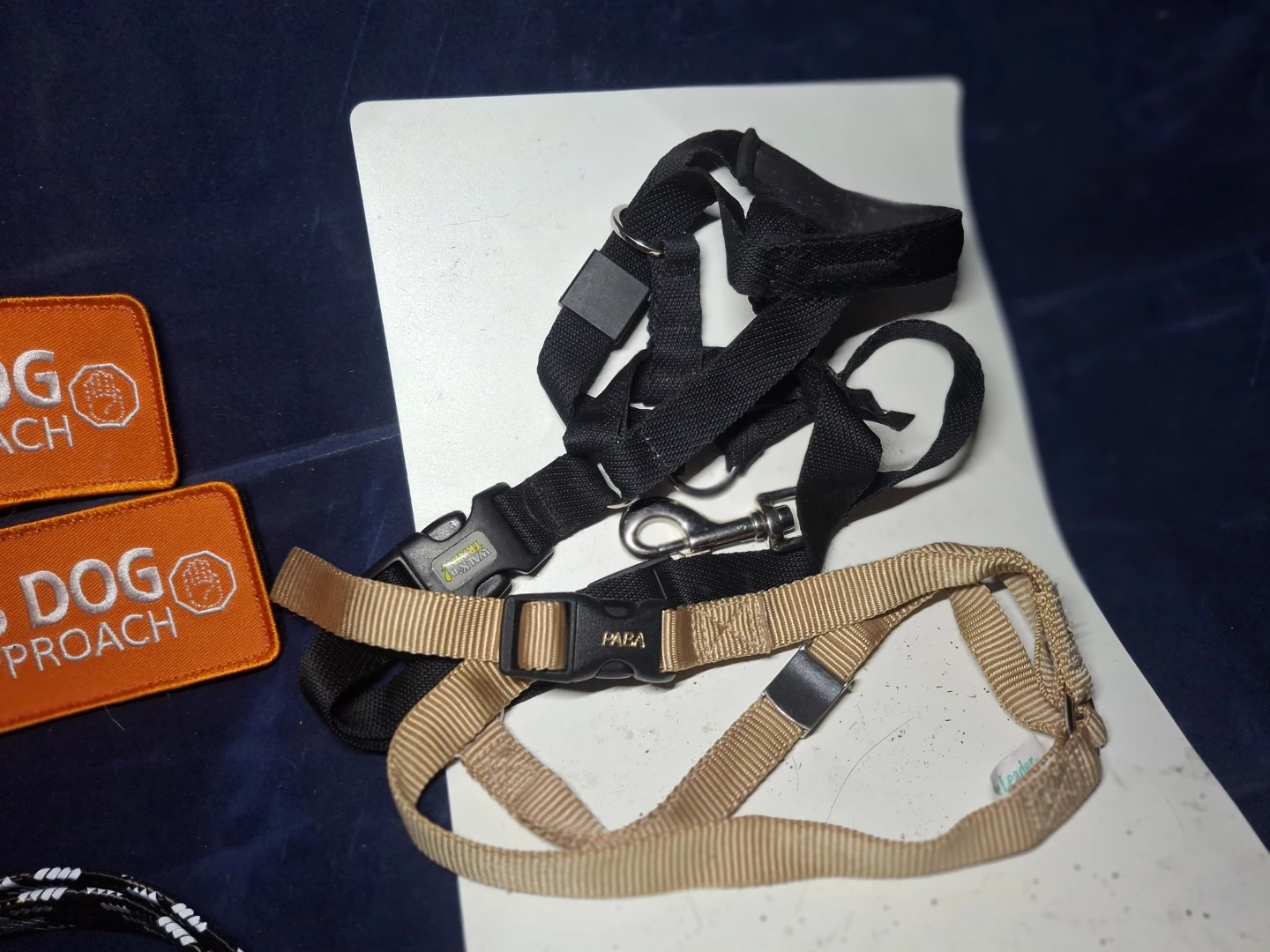 Dog Supplies - photo 5