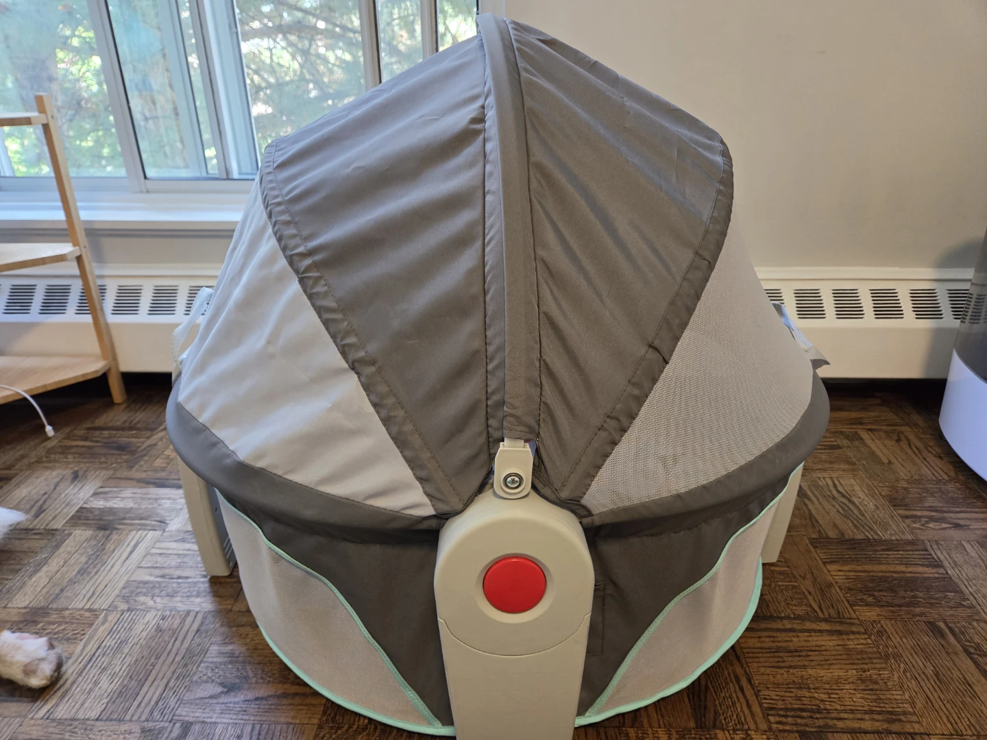 Fisher Price On-the-Go Baby Dome Portable Infant Play Tent
