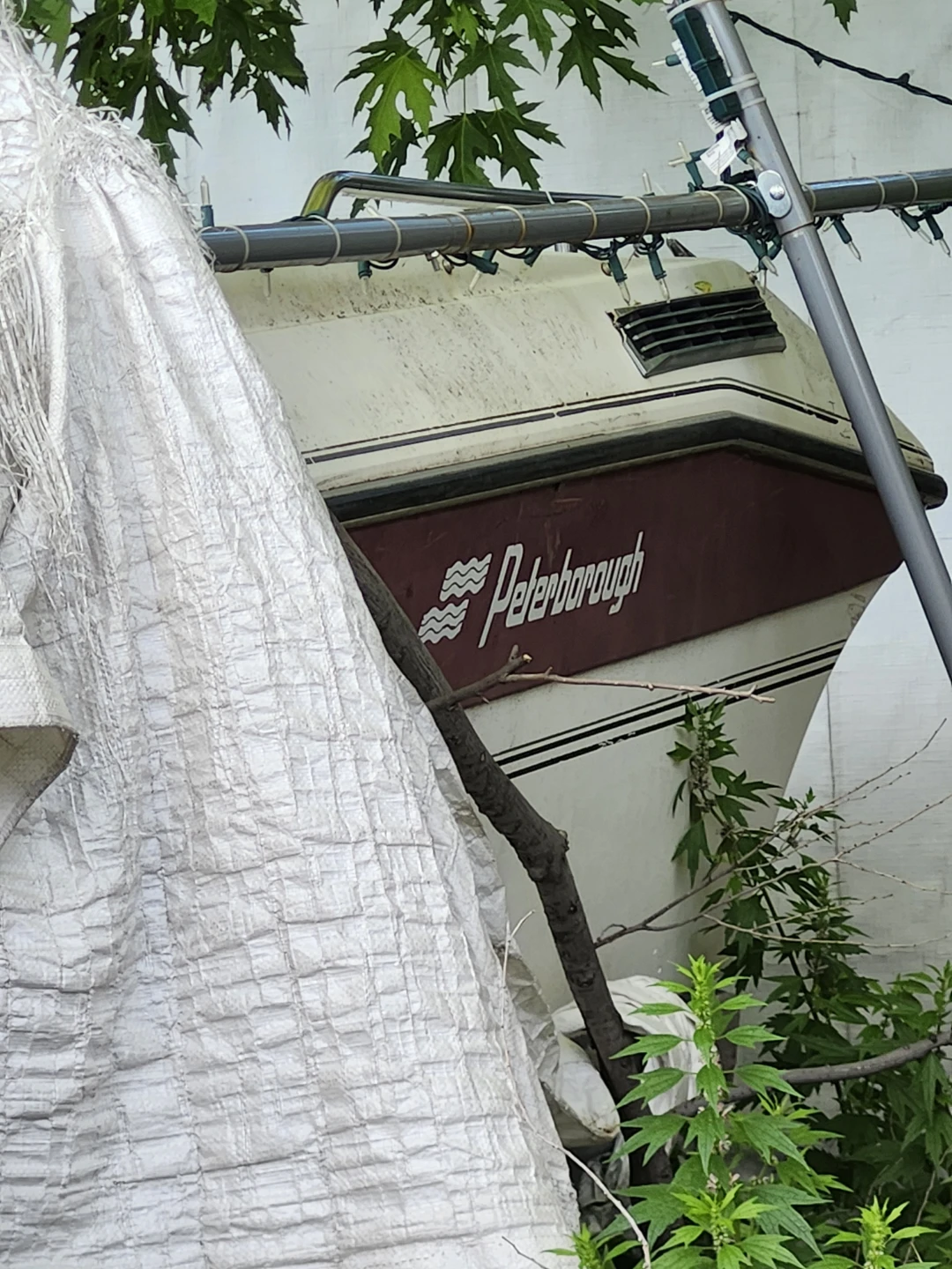 Pending-Peterborough Boat on Load Rite Trailer - photo 2