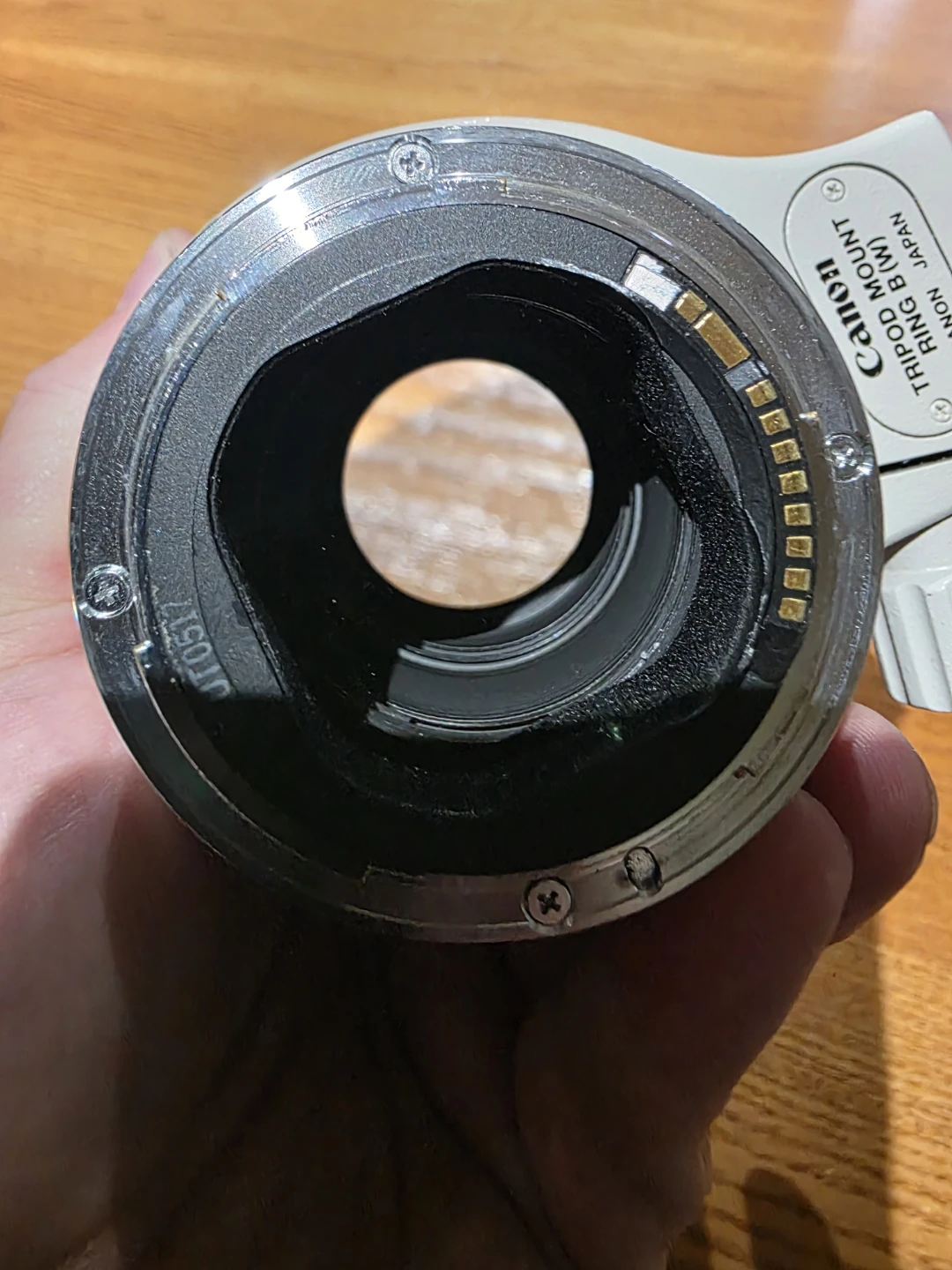 Canon EF 70-200mm f/2.8 L Ultrasonic Lens - photo 4