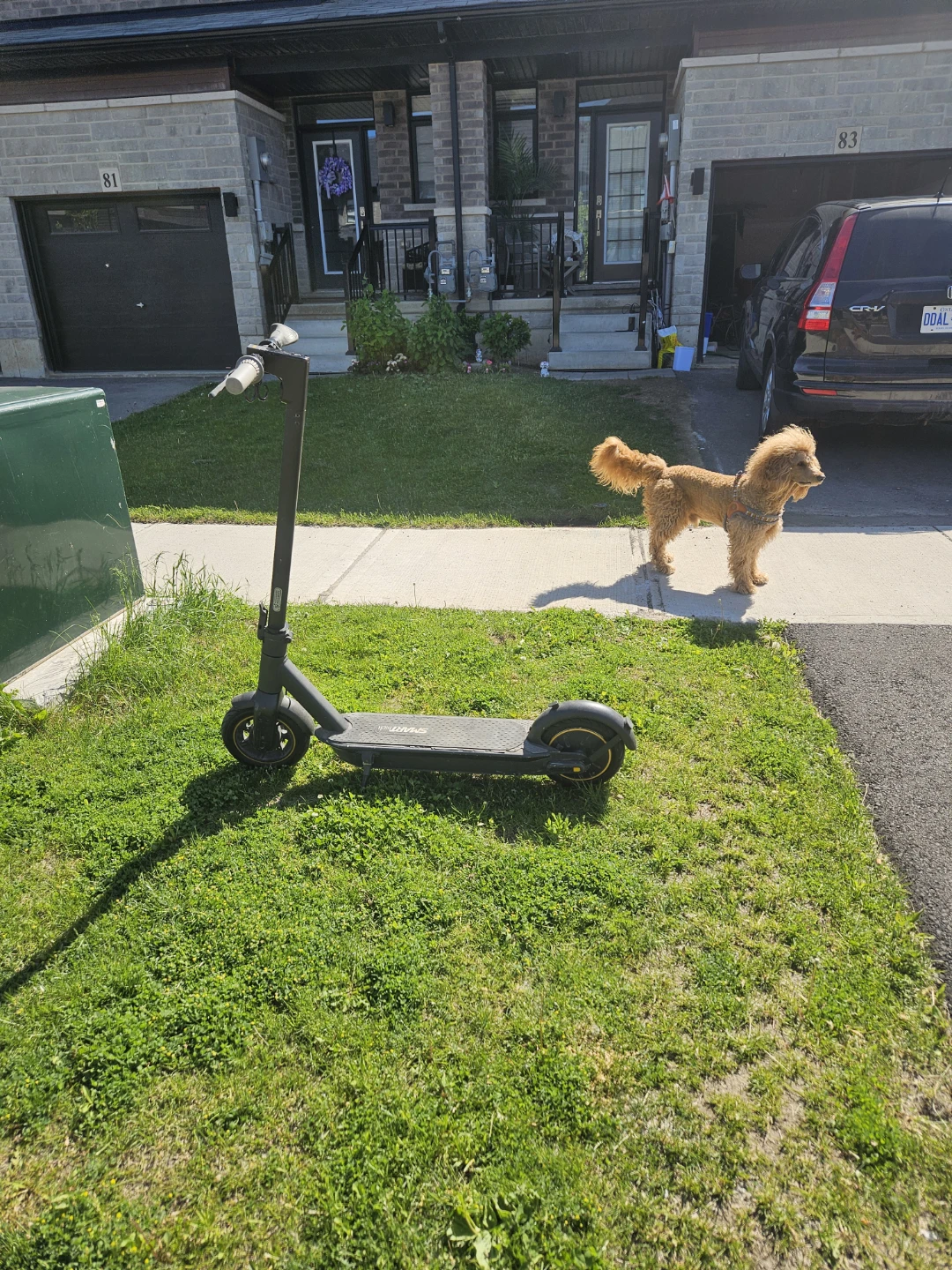 The original ninebot - photo 2
