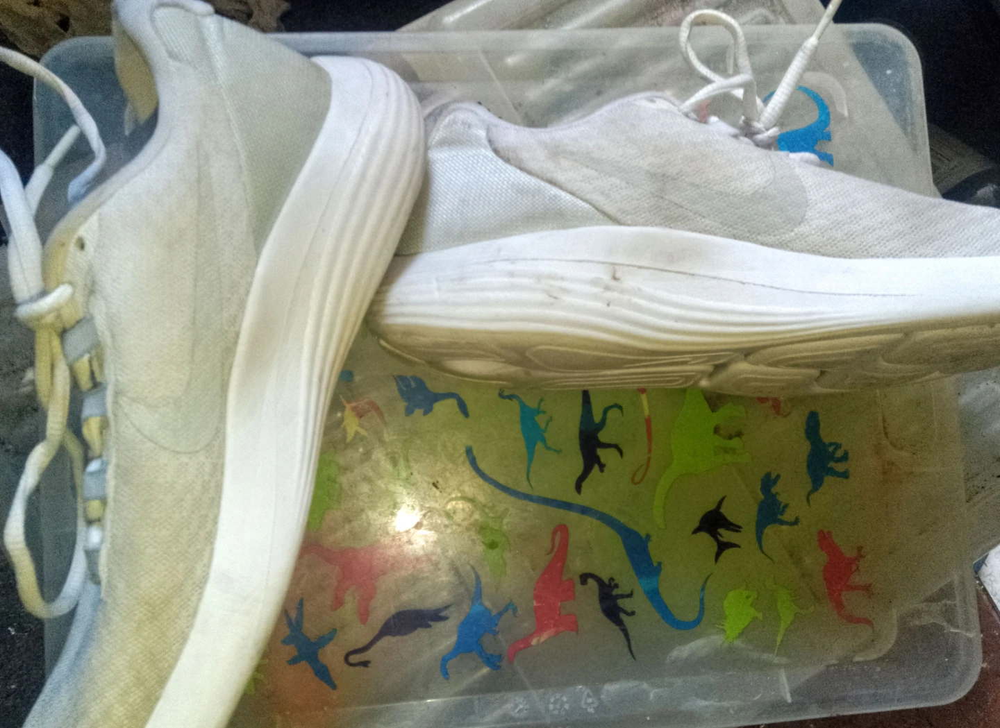 Nike Running Shoes