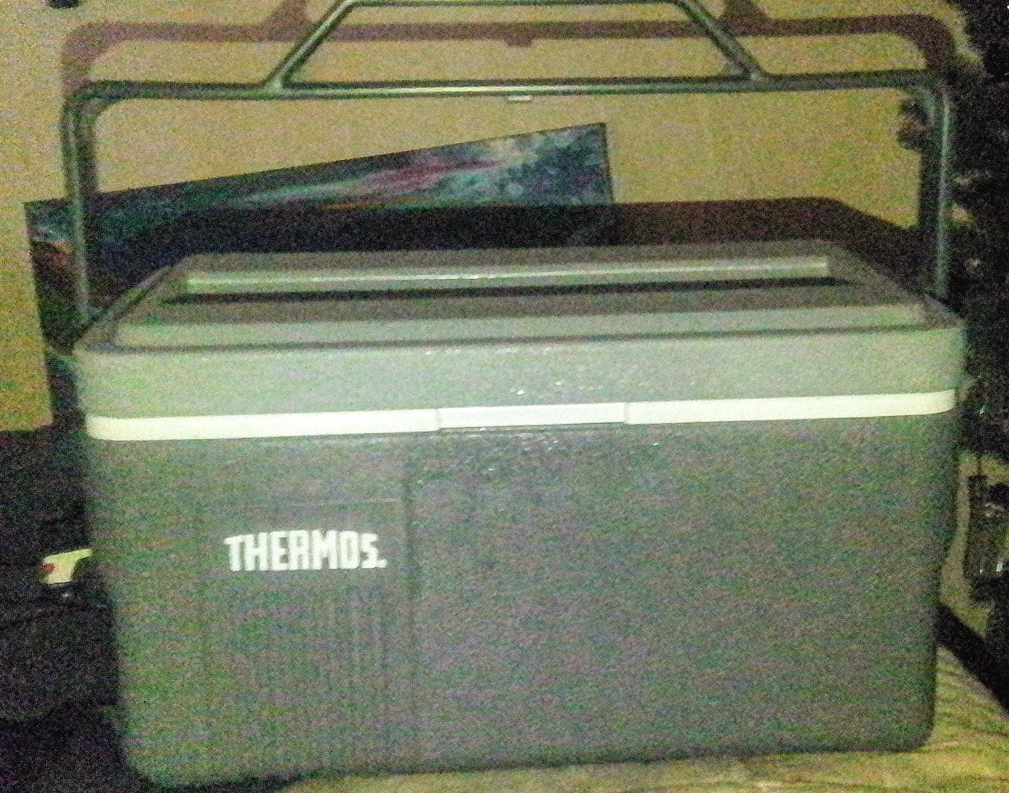 Thermos Cooler with Divider