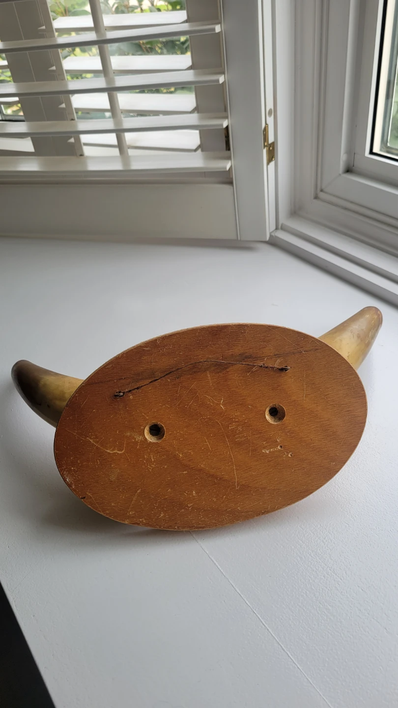 Two Mid Century Bull Horns Mounted Taxidermy - photo 5