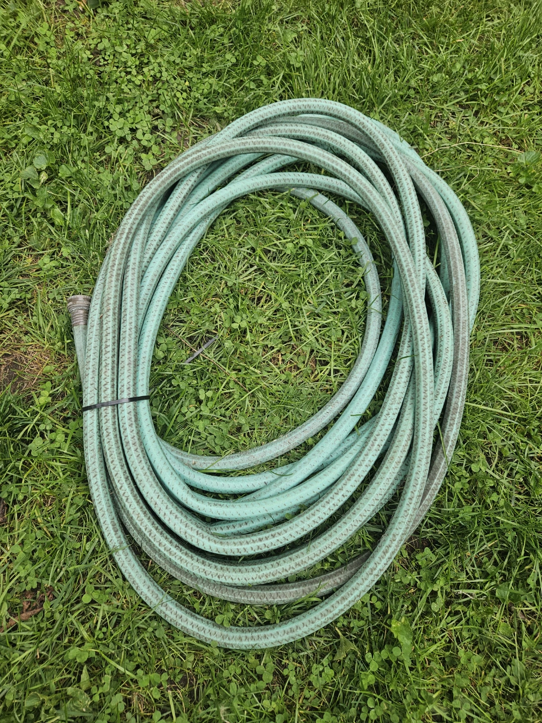 Green Garden Water Hose