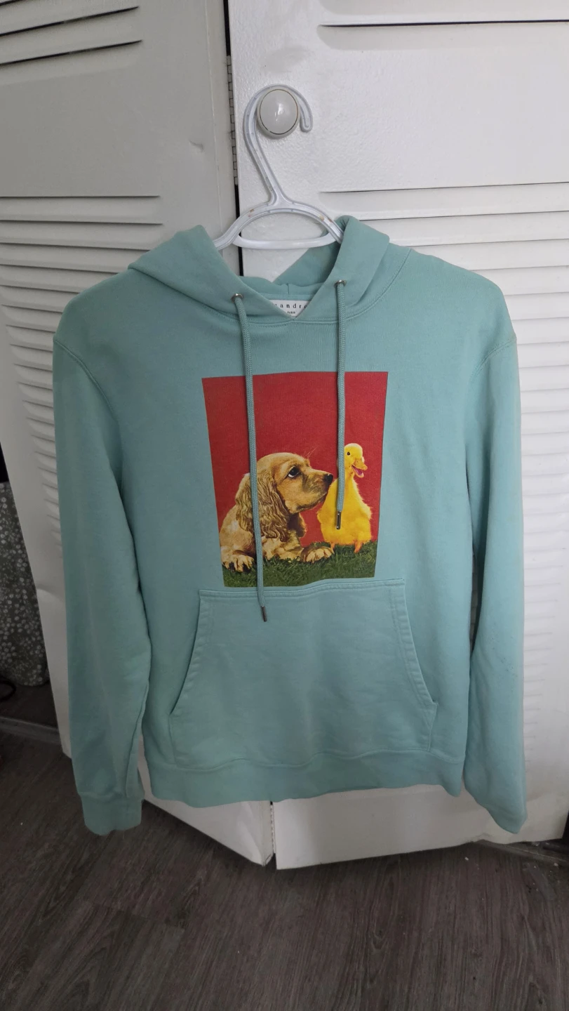 Sandro Paris "The Farm" Dog & Duckling Graphic Hoodie