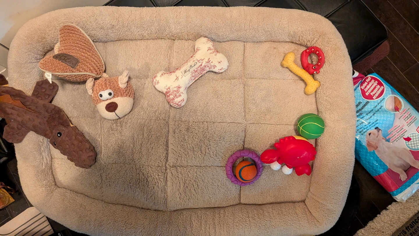 Dog Package:  Bed, Toys, Pads, Bowls and Jacket - photo 3