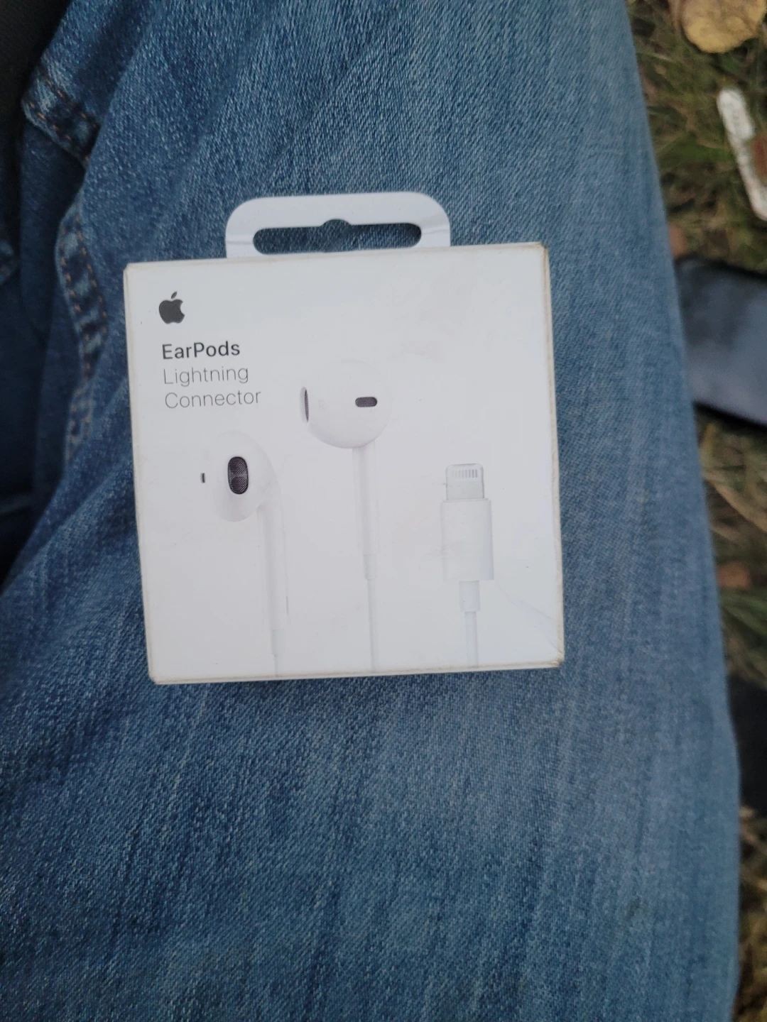 Apple EarPods with Lightning Connector