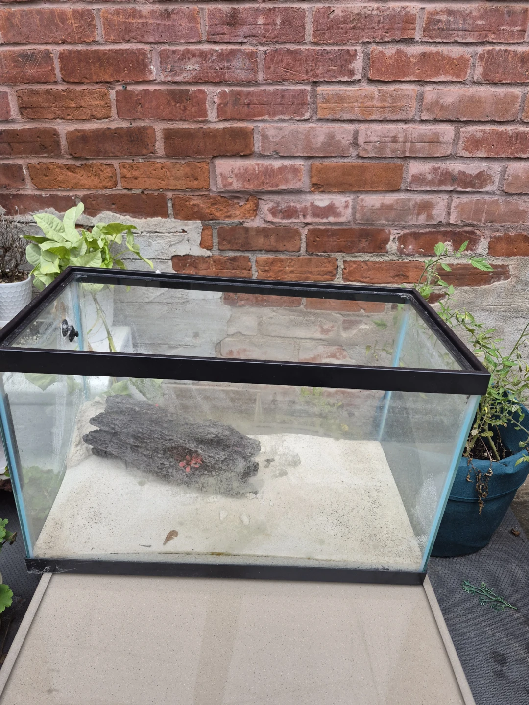 10 gallon aquarium with lots of rocks and decoration