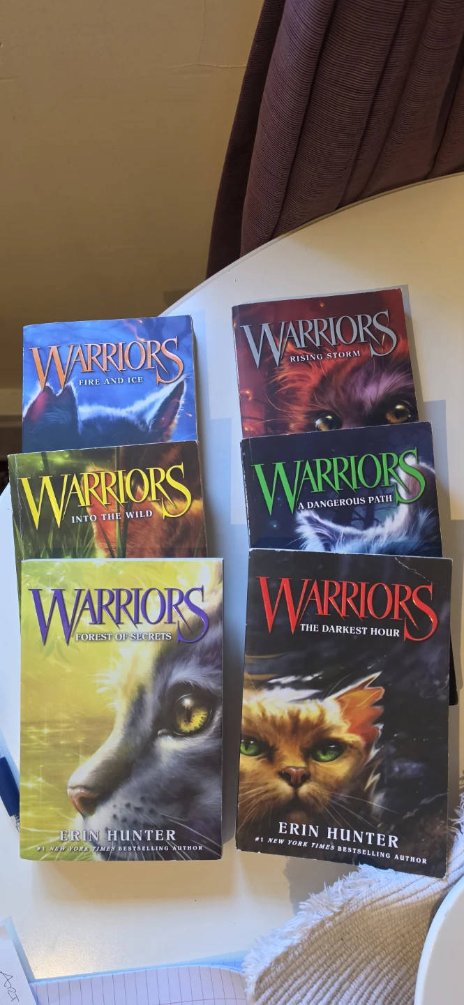 Warriors Cat The Prophecies Begin Books 1-6 - photo 2