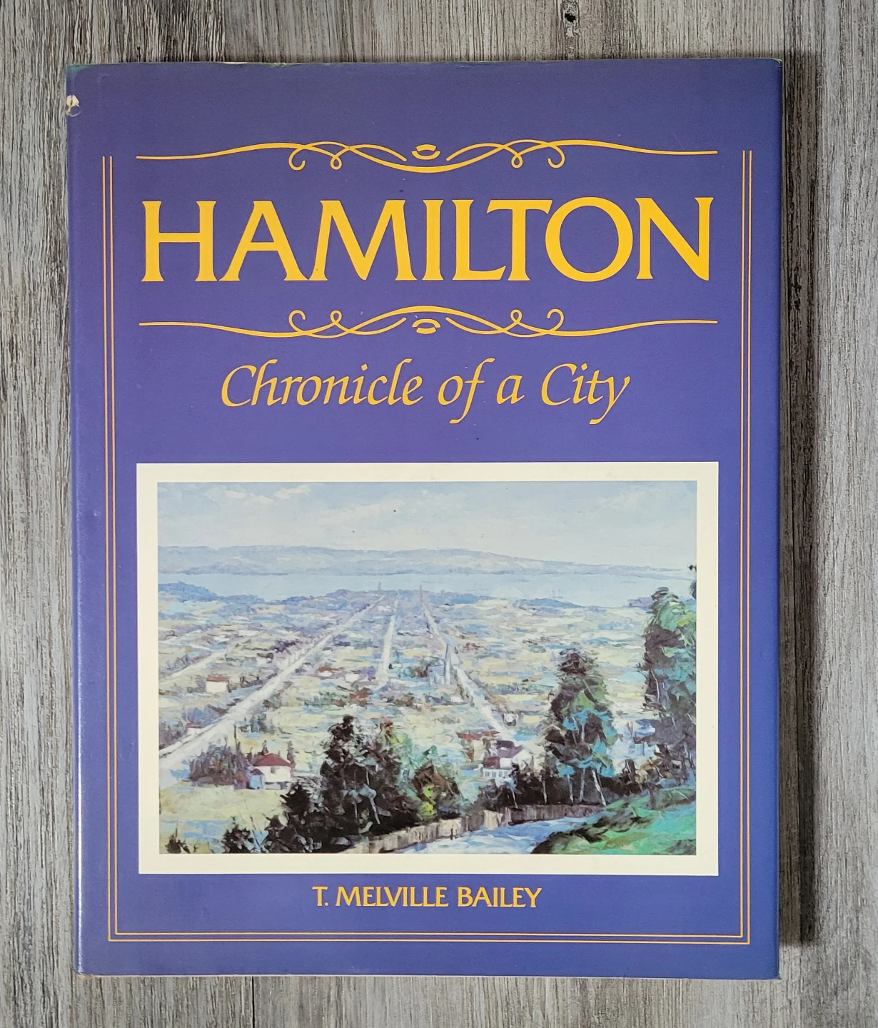 Hamilton Chronicle of a City Book