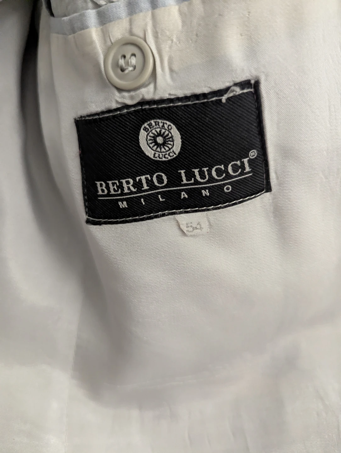Berto Lucci light grey blazer pants and tie - photo 2