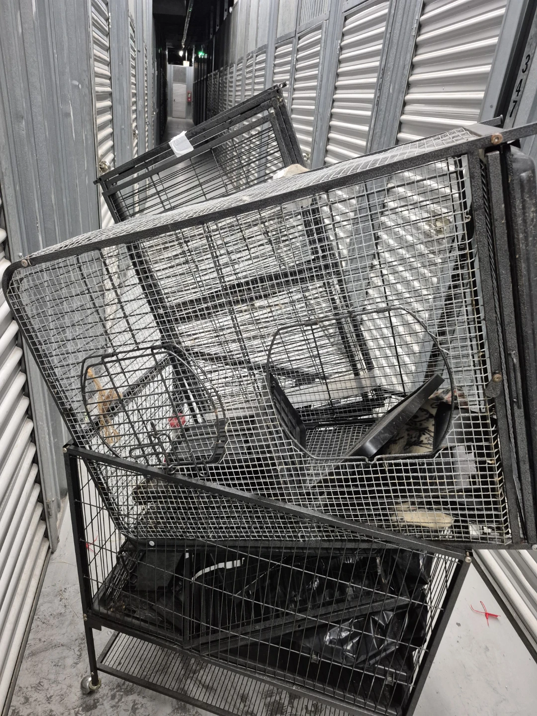 Ferret Cages - photo 4