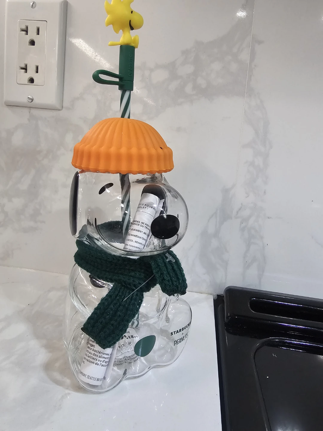 Starbucks x Peanuts Snoopy Glass Cold Cup