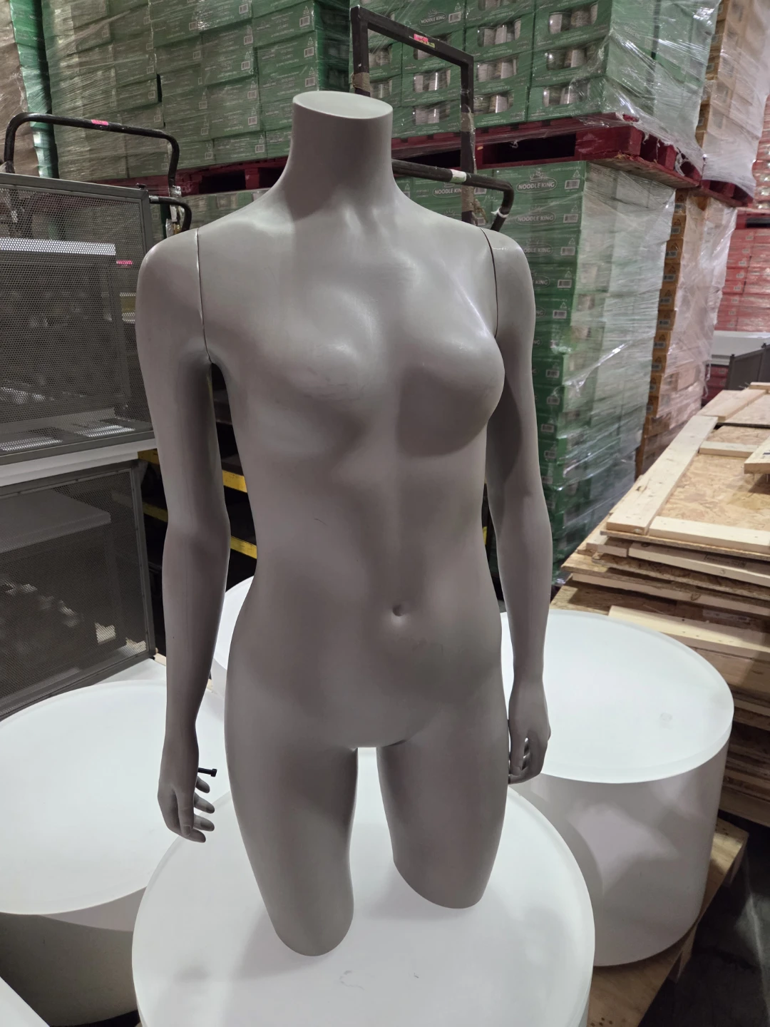 Female Torso Mannequin Display - photo 5