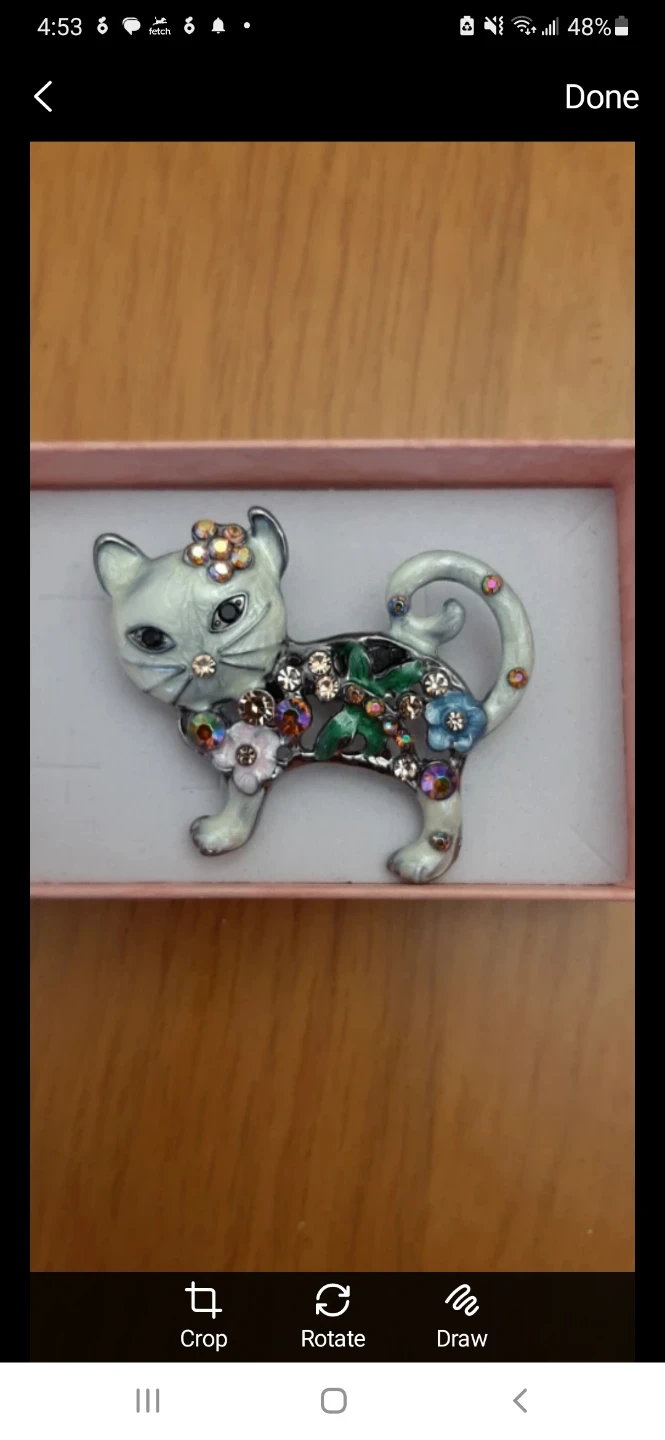 Cat-shaped brooch with  stones &  flowers