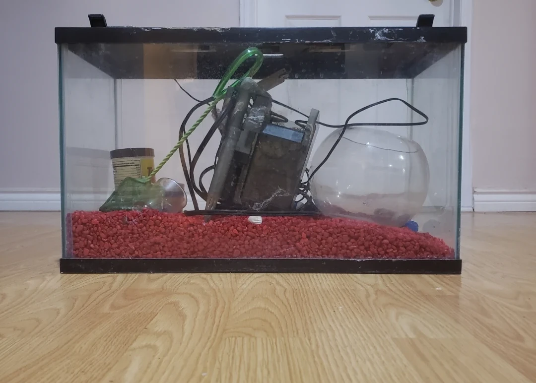 Glass Fish Aquarium with Filter and Accessories - photo 4