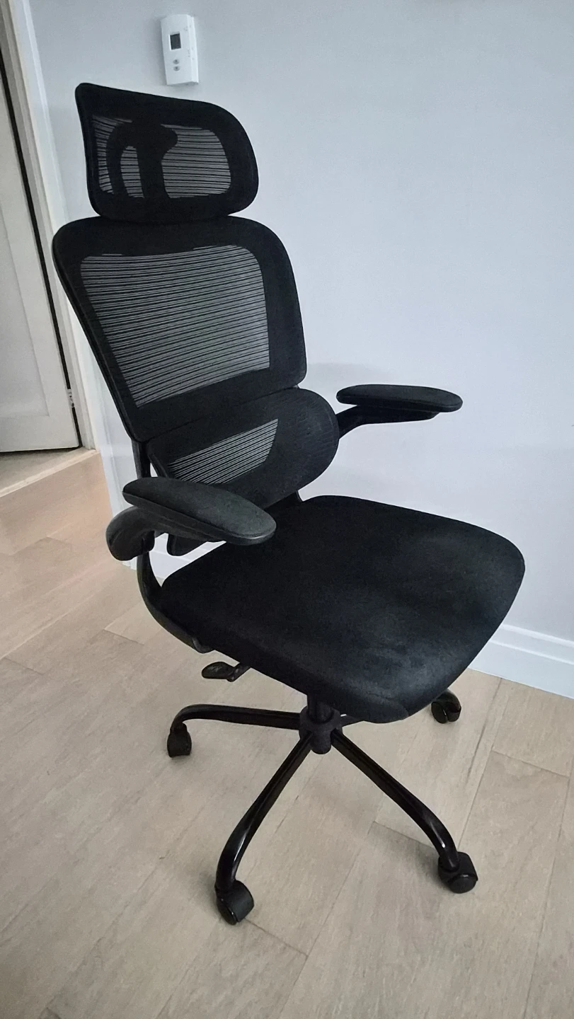 Black Ergonomic Mesh Office Chair with Headrest