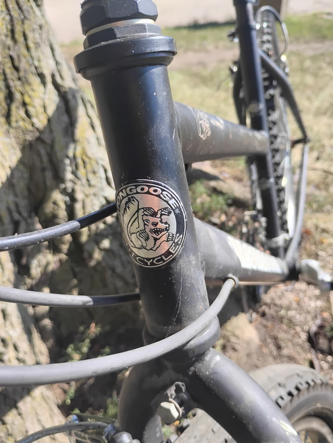 Mongoose Mountain Bike - photo 2
