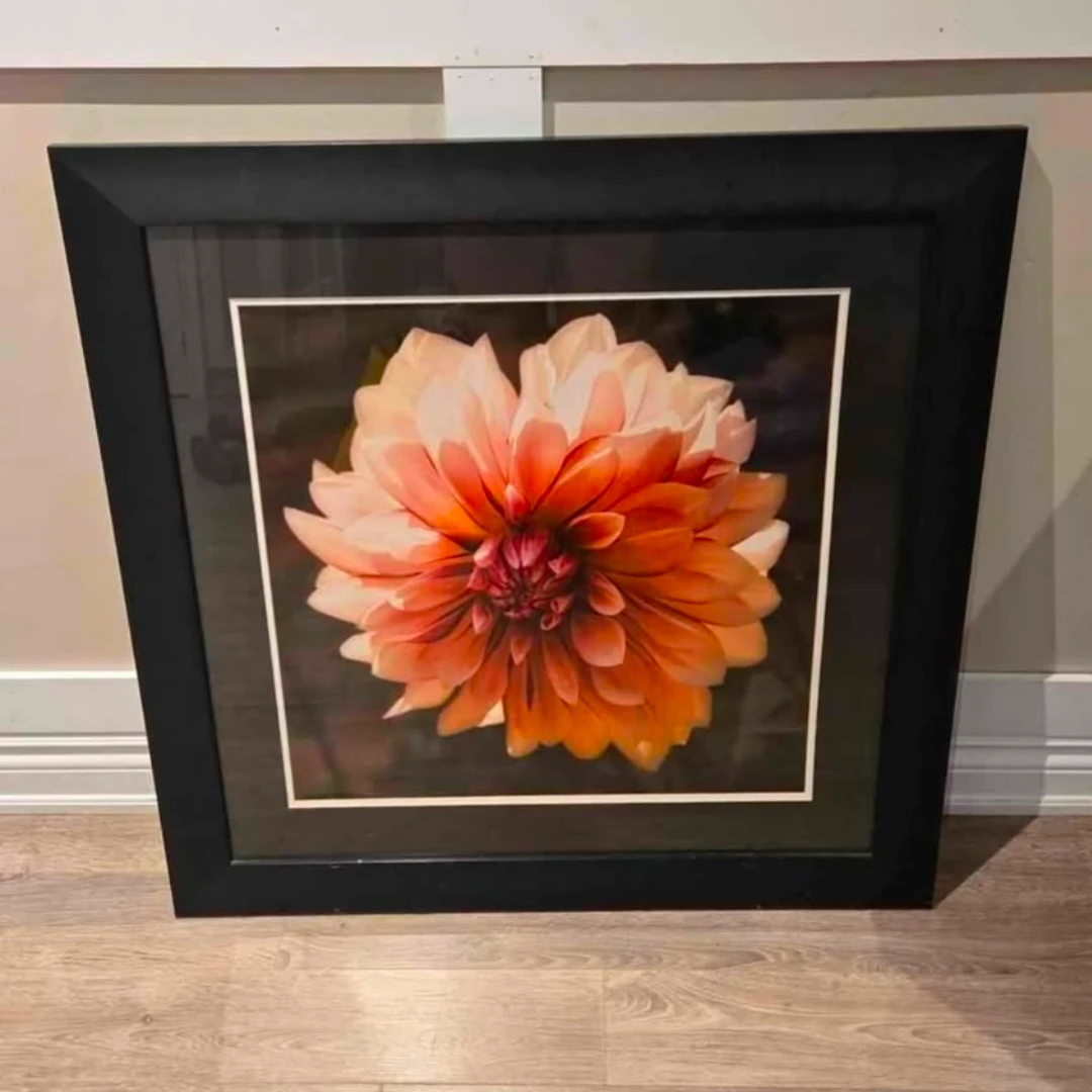 Framed Floral Wall Art
