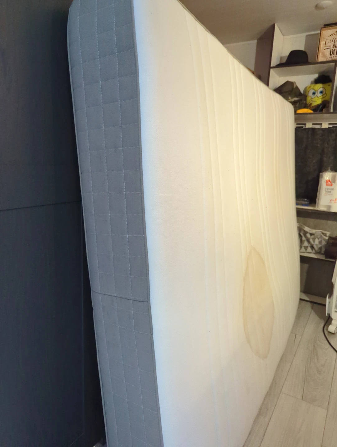 Free Queen Mattress spring and foam combo