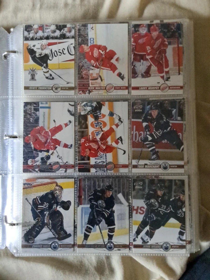 Binder with hockey cards (340+) - photo 4