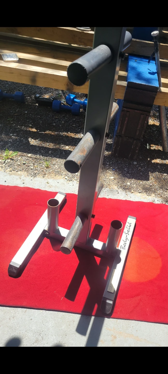 BODY SOLID 2" HOLE BAR AND PLATE TR