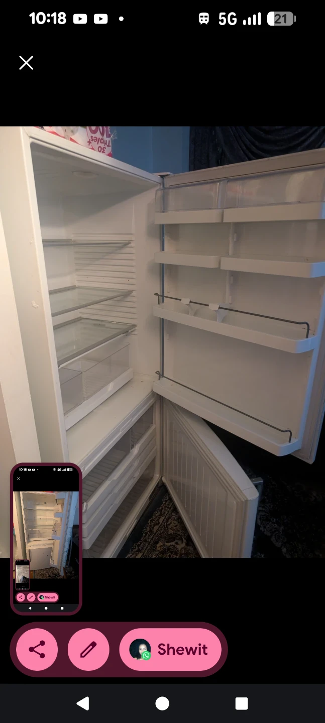 Fisher & Paykel bottom freezer refrigerator