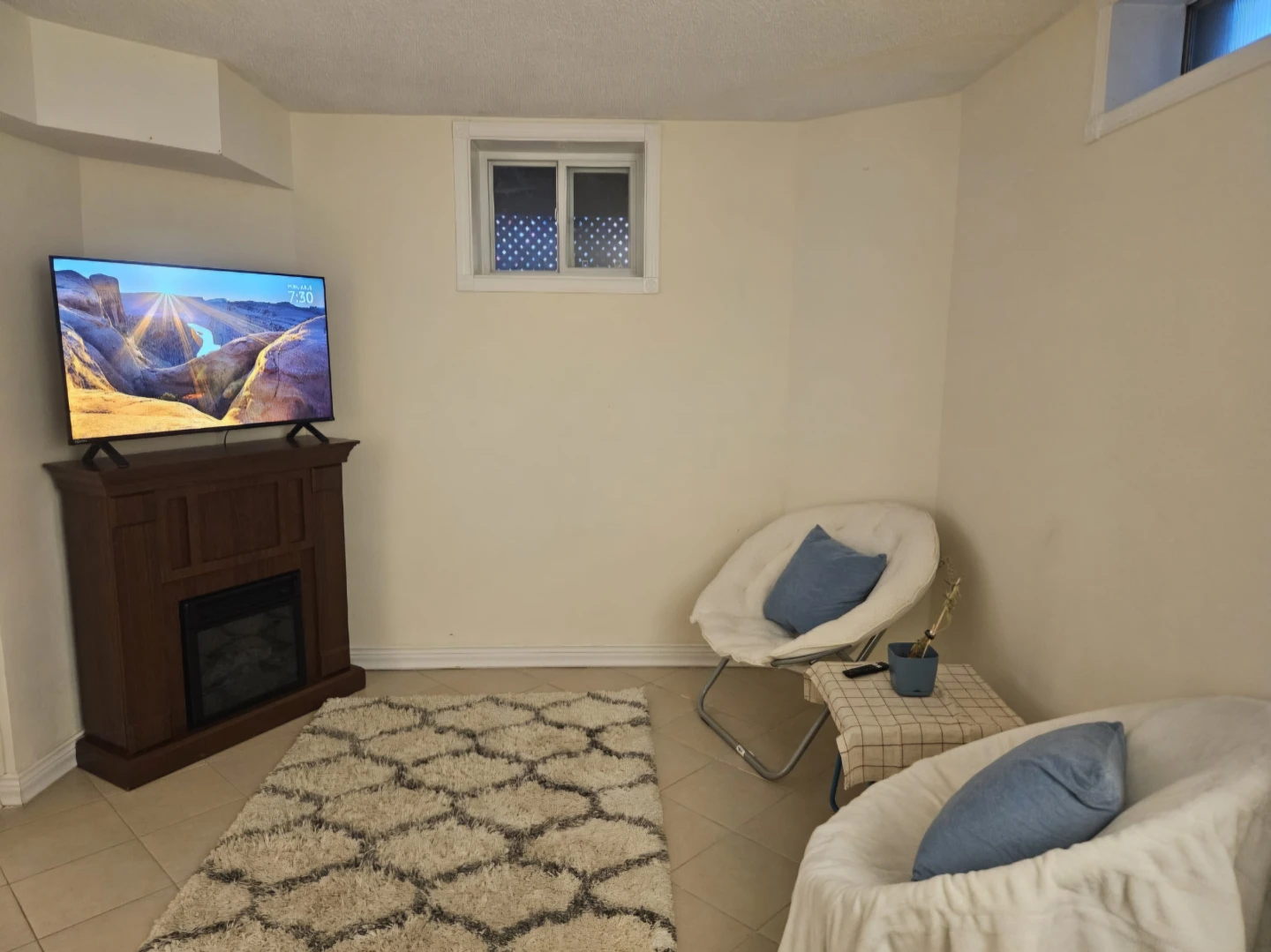 Electric fireplace and TV stand