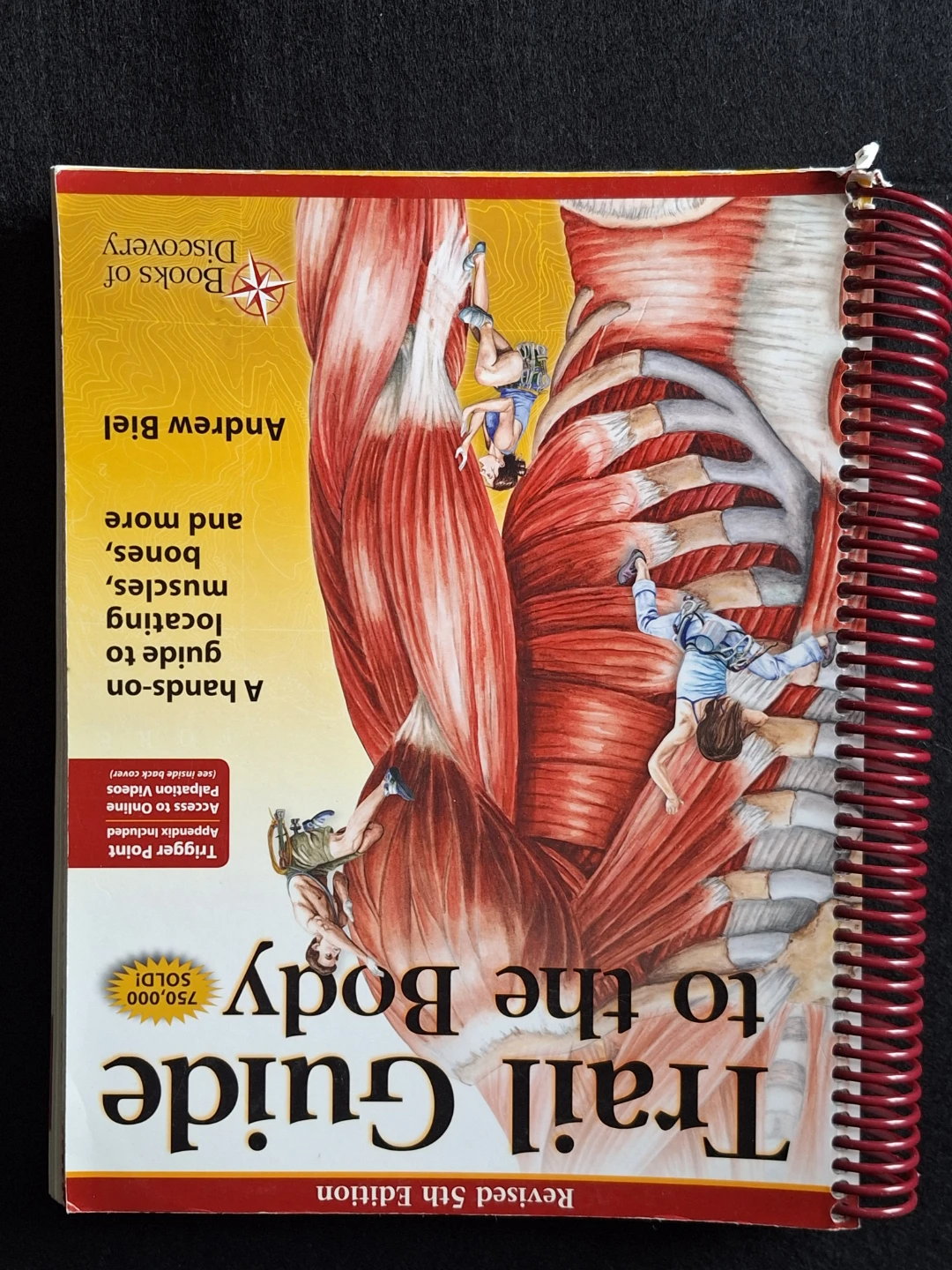 Medical Textbooks and Anatomical Chart Bundle - photo 3