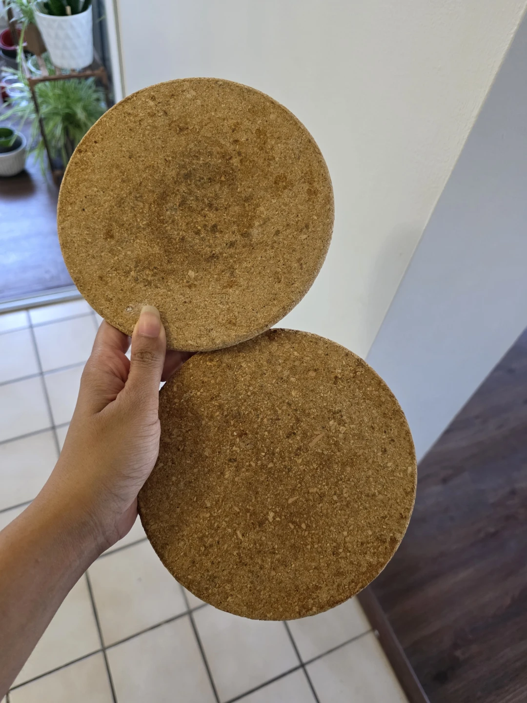 Two Round Cork Trivets