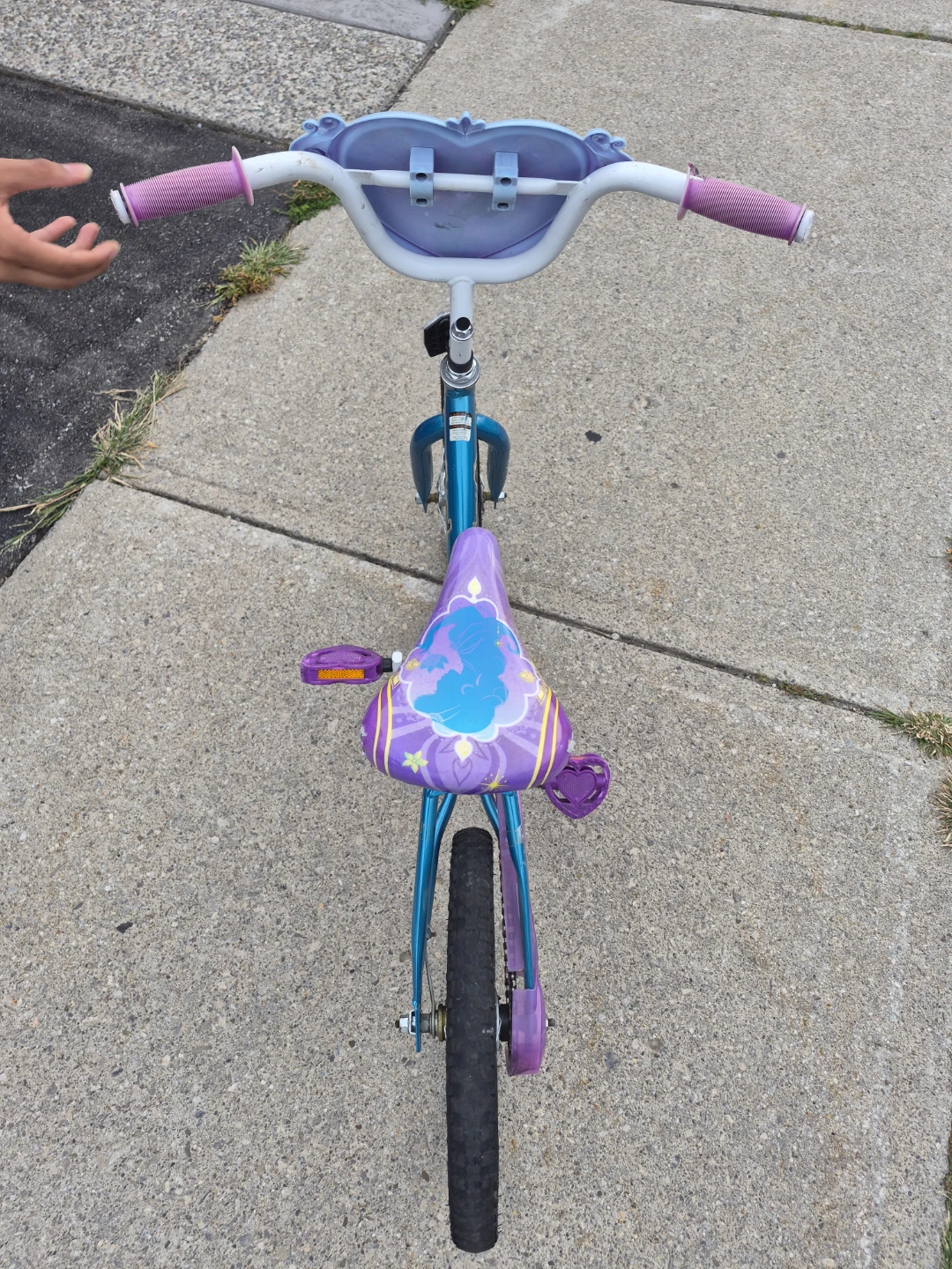 Little girls princess Jasmine bike for sale $65[OBO] - photo 4