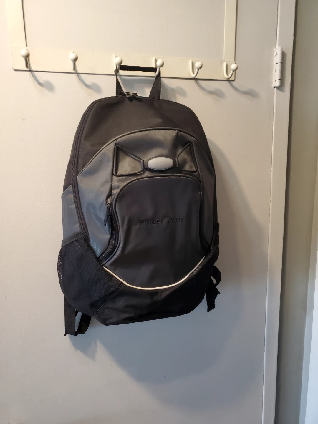 Pingel   2007   Laptop Backpack