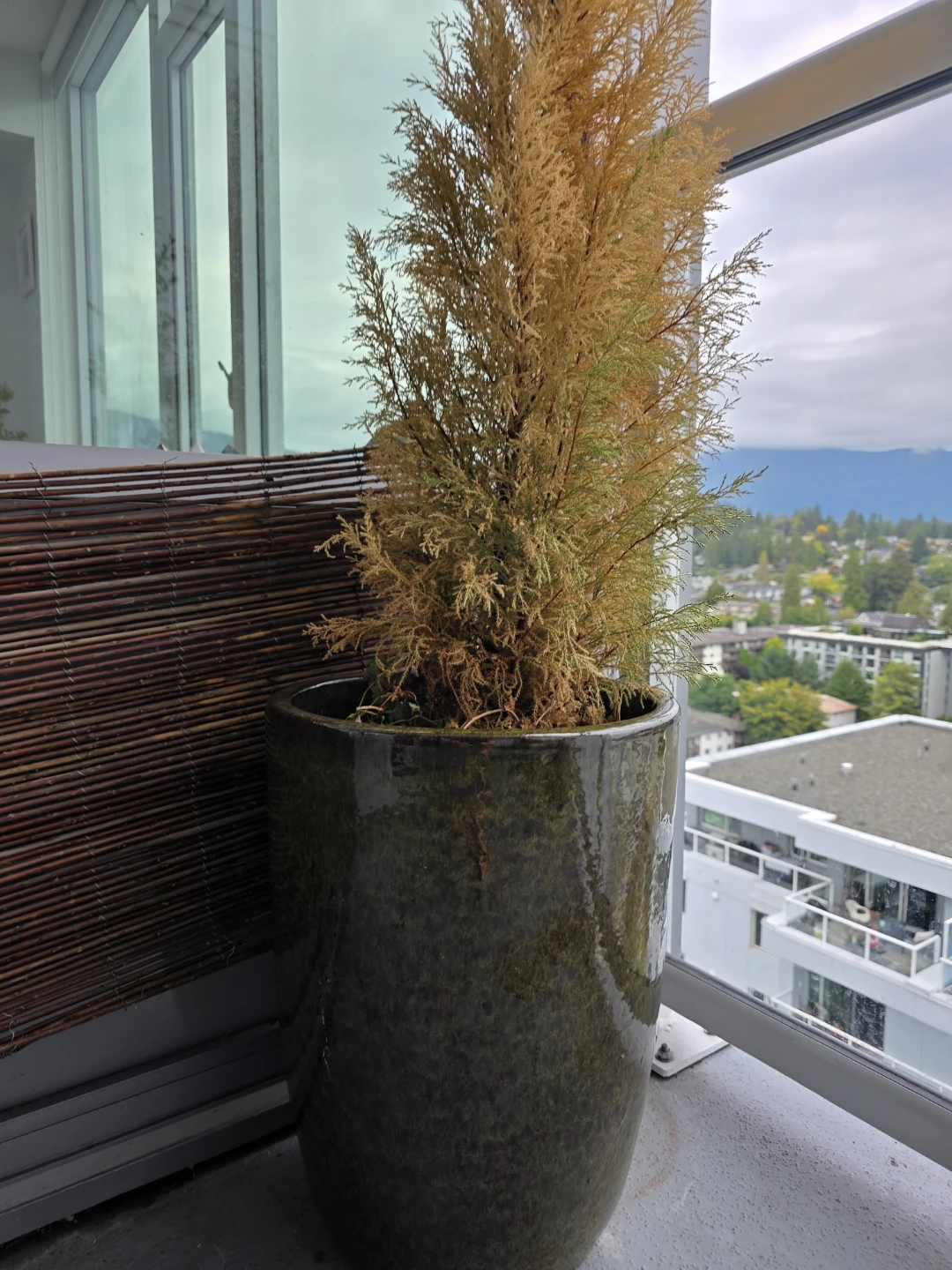 Large Frost Resistant Garden Planters